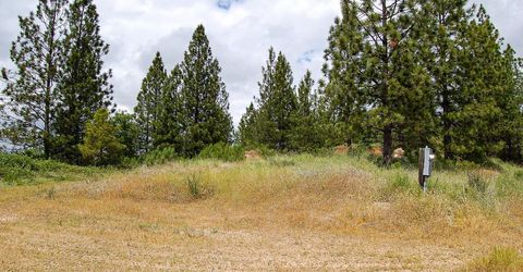 2676 Silver Mountain Rd, Rail Road Flat, CA 95248 Photo