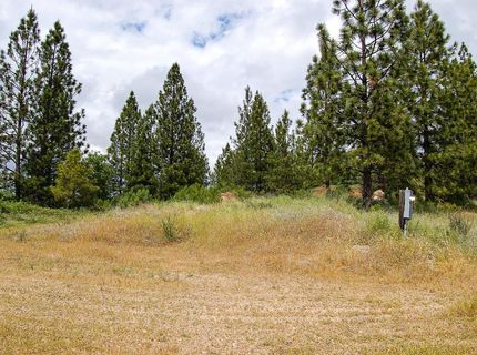 2676 Silver Mountain Rd, Rail Road Flat, CA 95248 Photo
