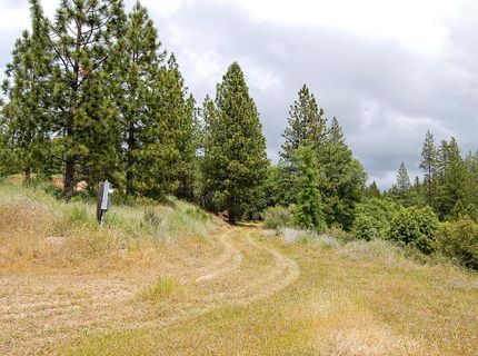 2676 Silver Mountain Rd, Rail Road Flat, CA 95248 Photo