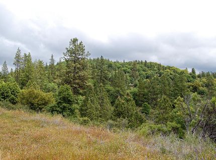 2676 Silver Mountain Rd, Rail Road Flat, CA 95248 Photo