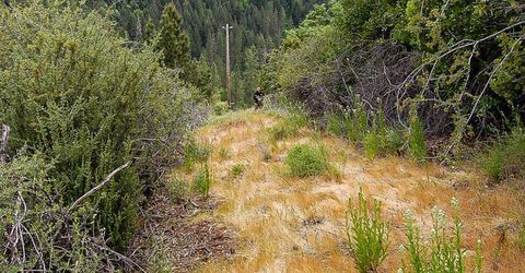 2676 Silver Mountain Rd, Rail Road Flat, CA 95248 Photo