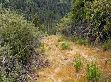 2676 Silver Mountain Rd, Rail Road Flat, CA 95248 Photo