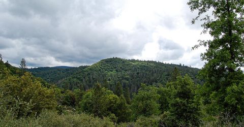 2676 Silver Mountain Rd, Rail Road Flat, CA 95248 Photo