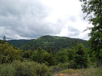 2676 Silver Mountain Rd, Rail Road Flat, CA 95248 Photo