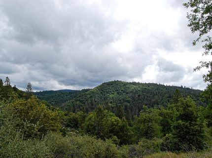 2676 Silver Mountain Rd, Rail Road Flat, CA 95248 Photo