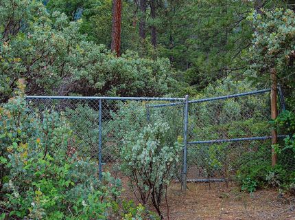 2676 Silver Mountain Rd, Rail Road Flat, CA 95248 Photo