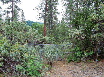 2676 Silver Mountain Rd, Rail Road Flat, CA 95248 Photo
