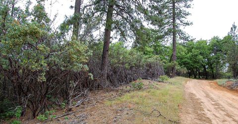 2676 Silver Mountain Rd, Rail Road Flat, CA 95248 Photo