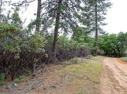 2676 Silver Mountain Rd, Rail Road Flat, CA 95248 Photo