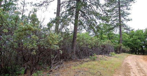 2676 Silver Mountain Rd, Rail Road Flat, CA 95248 Photo