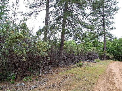 2676 Silver Mountain Rd, Rail Road Flat, CA 95248 Photo