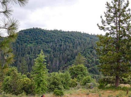 2676 Silver Mountain Rd, Rail Road Flat, CA 95248 Photo