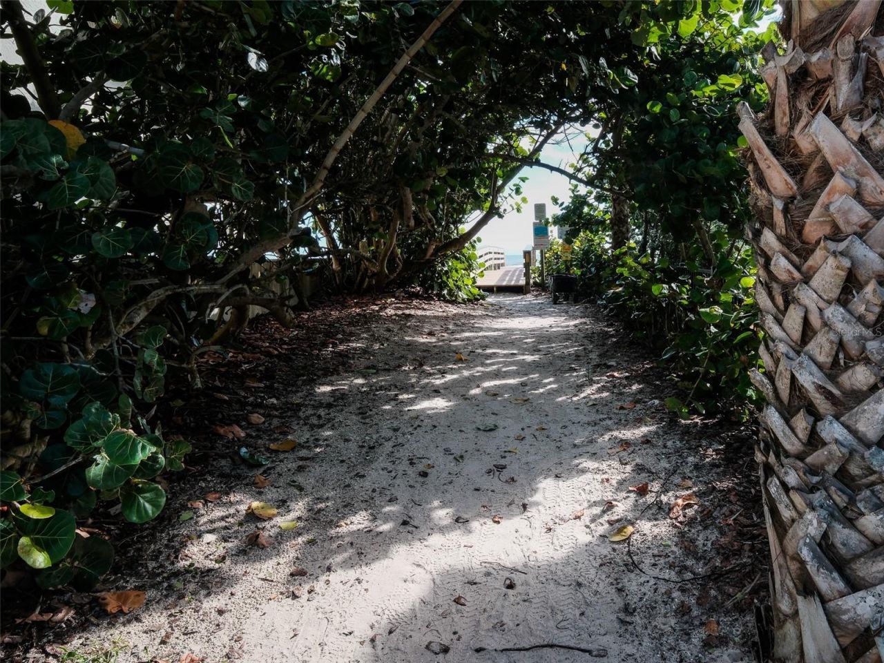 4704 Van Kleeck Drive, New Smyrna Beach, FL 32169 Photo