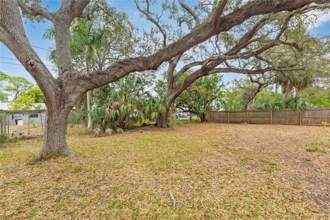 727 27th Avenue S, Saint Petersburg, FL 33705 Photo