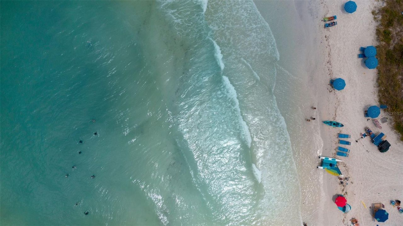 1021 Crescent Street, Unit 1, Sarasota, FL 34242 Photo