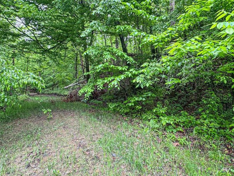 0 County Rd 46, Lower Salem, OH 45745 Photo 10