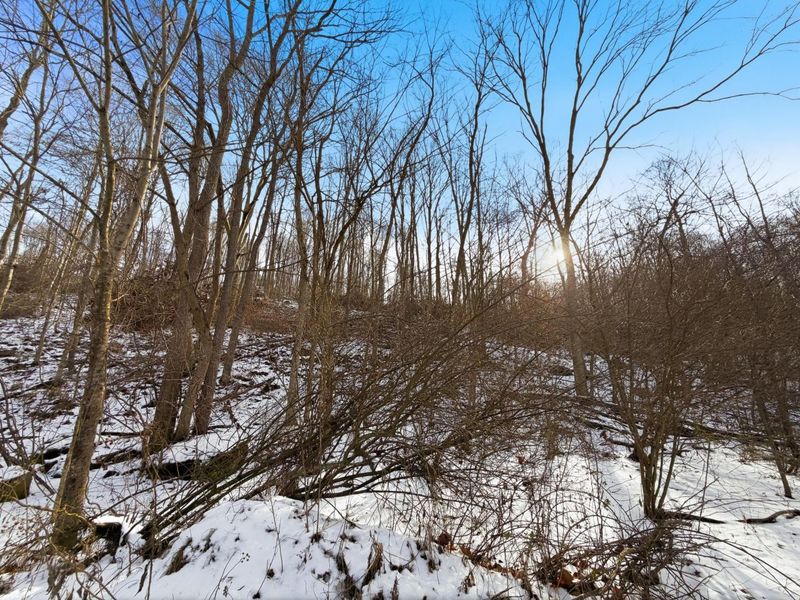 0 County Rd 46, Lower Salem, OH 45745 Photo 14