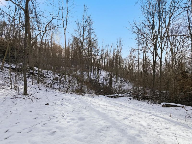 0 County Rd 46, Lower Salem, OH 45745 Photo 15