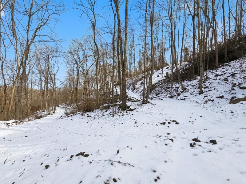 0 County Rd 46, Lower Salem, OH 45745 Photo 16