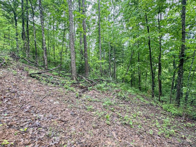 0 County Rd 46, Lower Salem, OH 45745 Photo 19