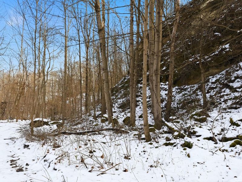 0 County Rd 46, Lower Salem, OH 45745 Photo 20