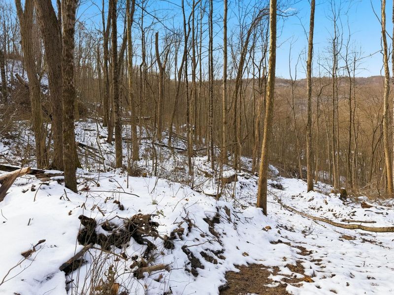 0 County Rd 46, Lower Salem, OH 45745 Photo 21