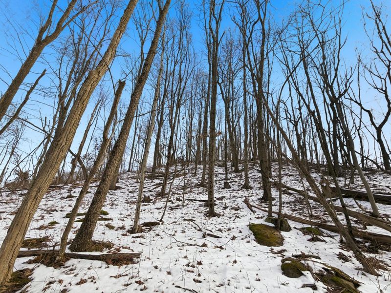 0 County Rd 46, Lower Salem, OH 45745 Photo 25