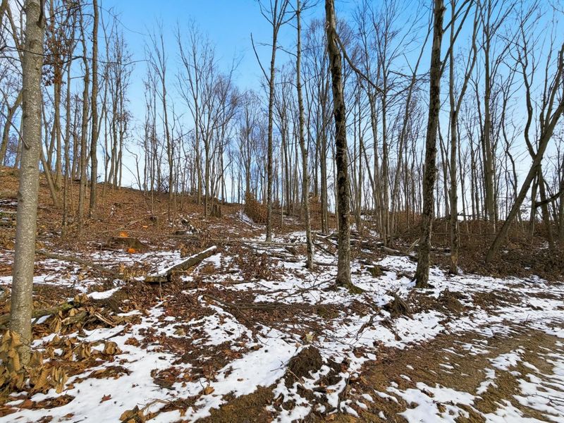 0 County Rd 46, Lower Salem, OH 45745 Photo 26