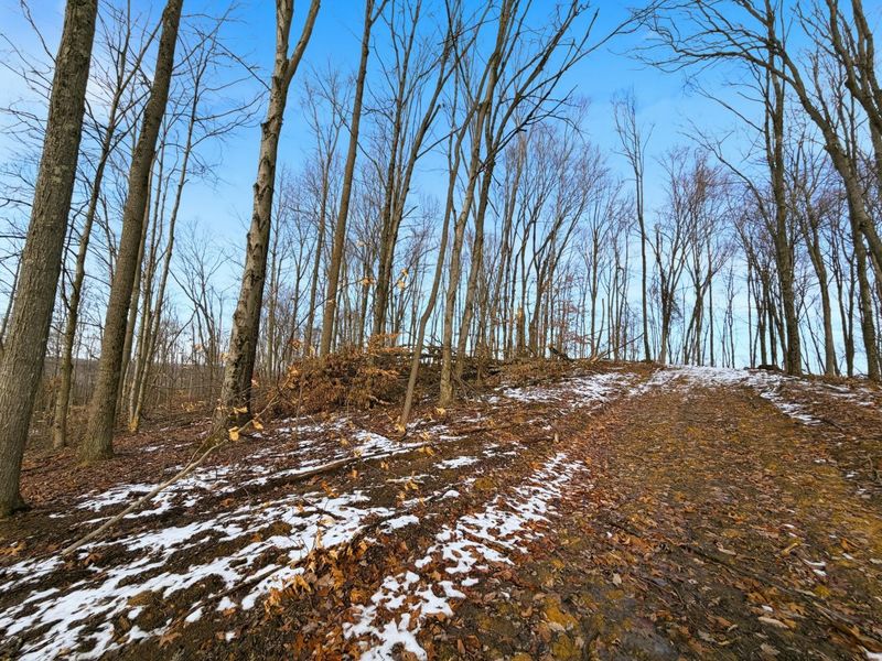 0 County Rd 46, Lower Salem, OH 45745 Photo 27