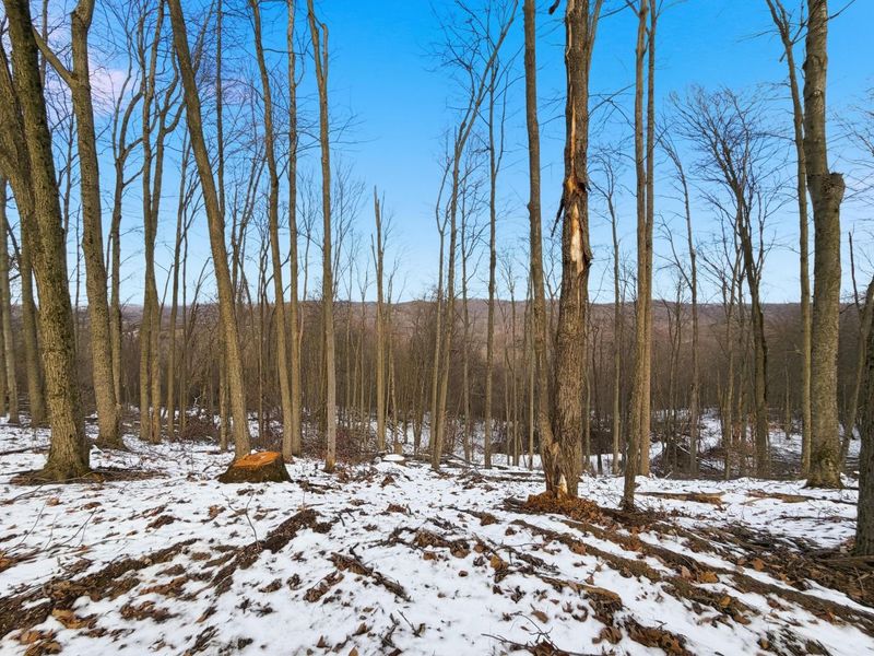 0 County Rd 46, Lower Salem, OH 45745 Photo 29