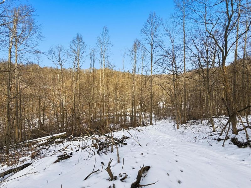 0 County Rd 46, Lower Salem, OH 45745 Photo 30