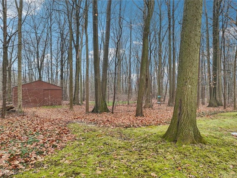 1576 King Road, Hinckley, OH 44233 Photo 43