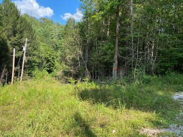 44 Indian Valley Retreat, Zoe, KY 41397