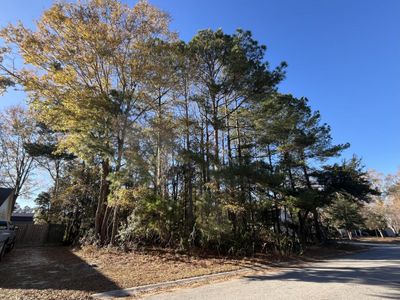 222 Jasmine Drive, Summerville, SC 29483