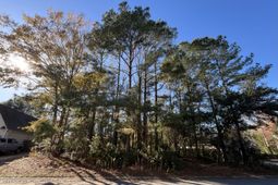 222 Jasmine Drive photo 4