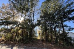 222 Jasmine Drive photo 4