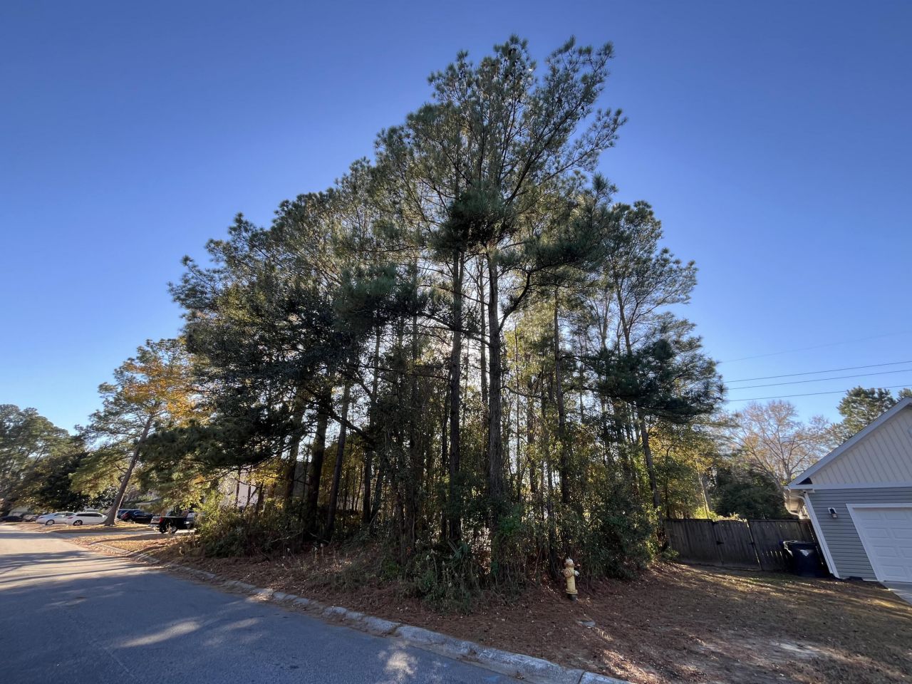 222 Jasmine Drive Photo 4