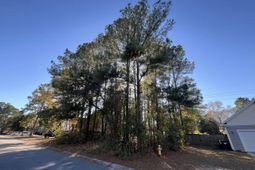 222 Jasmine Drive photo 4