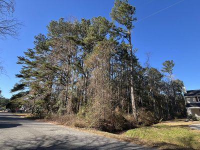 228 Wilson Drive, Summerville, SC 29483