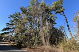 228 Wilson Drive photo 4