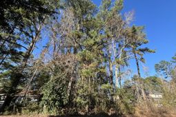 228 Wilson Drive photo 4