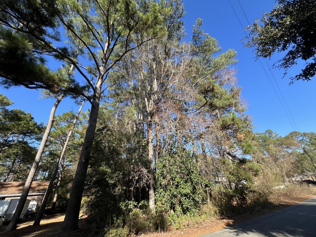 228 Wilson Drive Photo 4