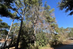 228 Wilson Drive photo 4