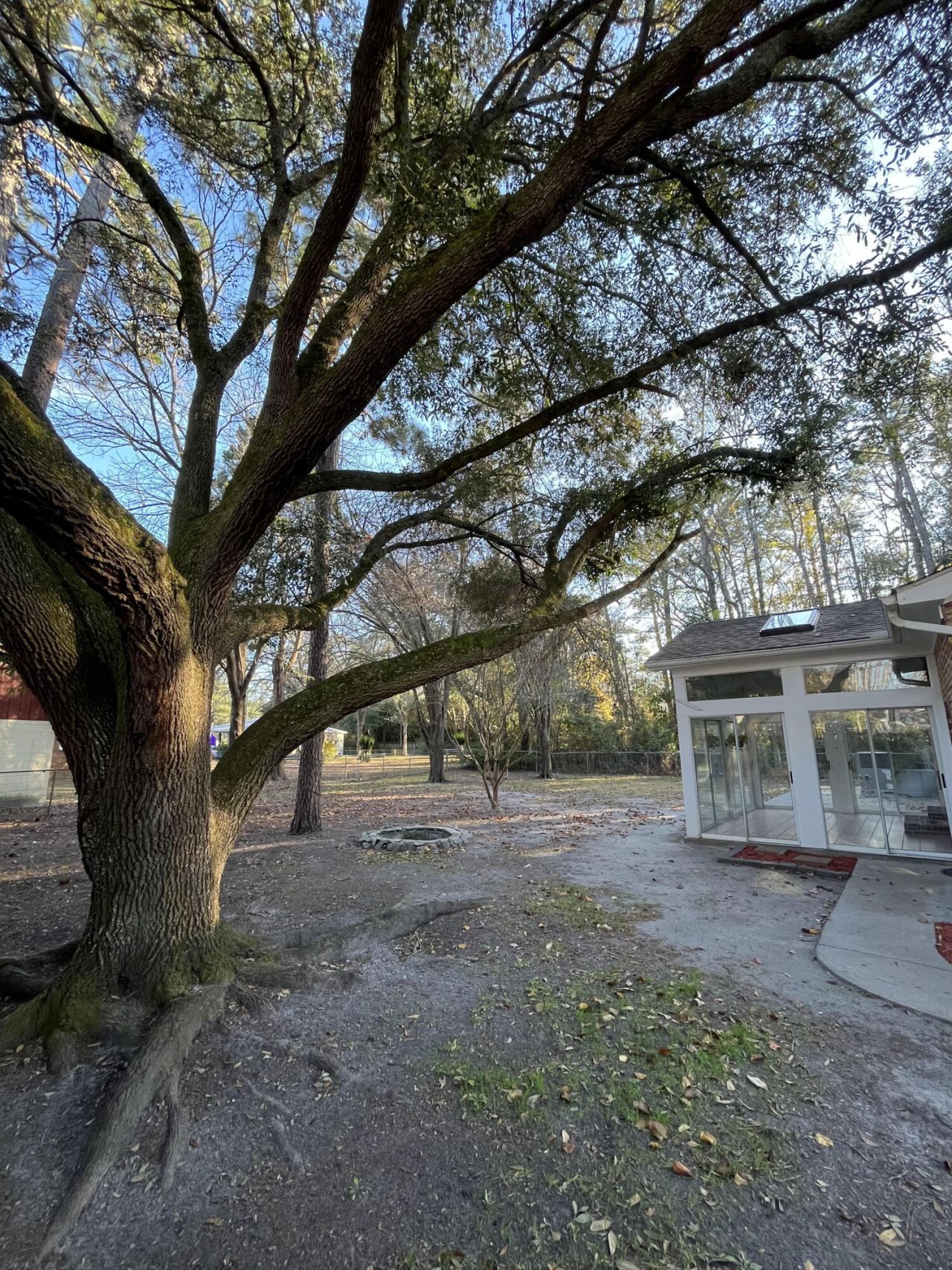 115 Donna Drive Photo 40