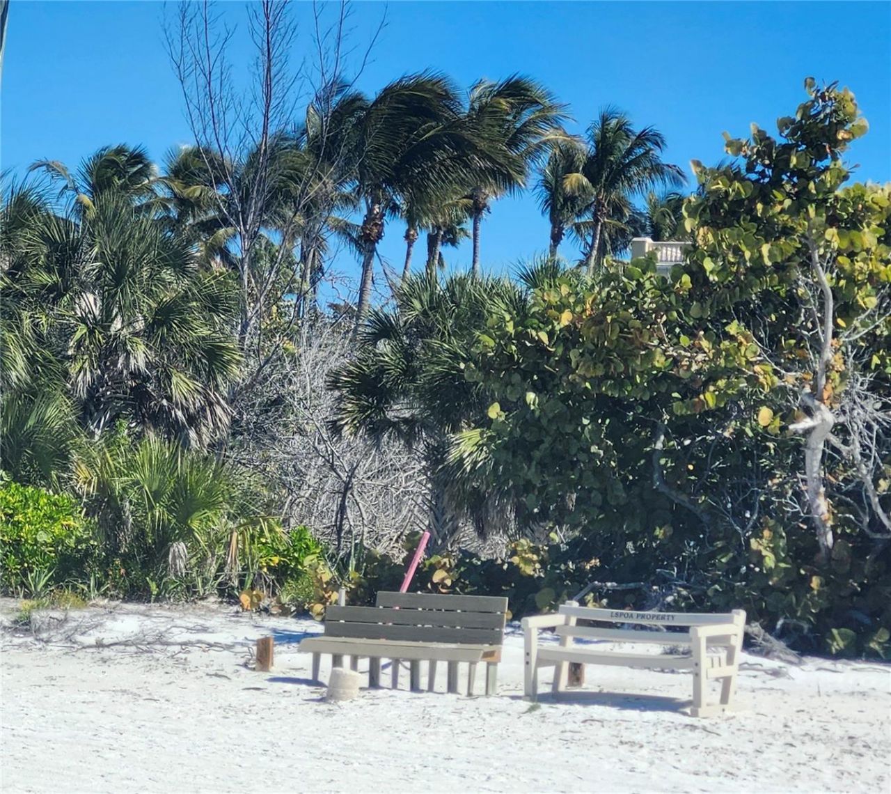 1418 John Ringling Parkway, Sarasota, FL 34236 Photo