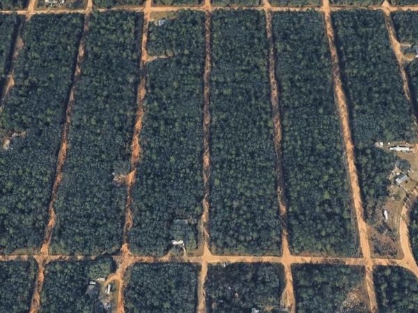 0 BRETT Avenue, Interlachen, FL 32148