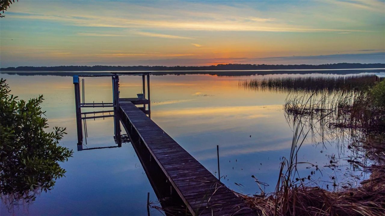 2661 Cyprus Drive, Palm Harbor, FL 34684 Photo