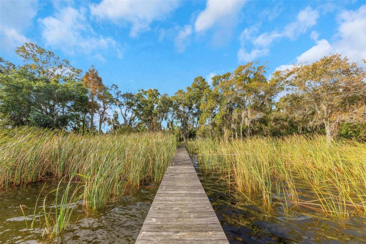 2661 Cyprus Drive, Palm Harbor, FL 34684 Photo