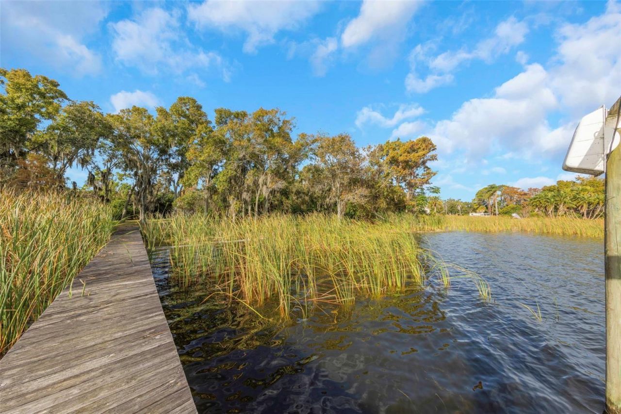 2661 Cyprus Drive, Palm Harbor, FL 34684 Photo