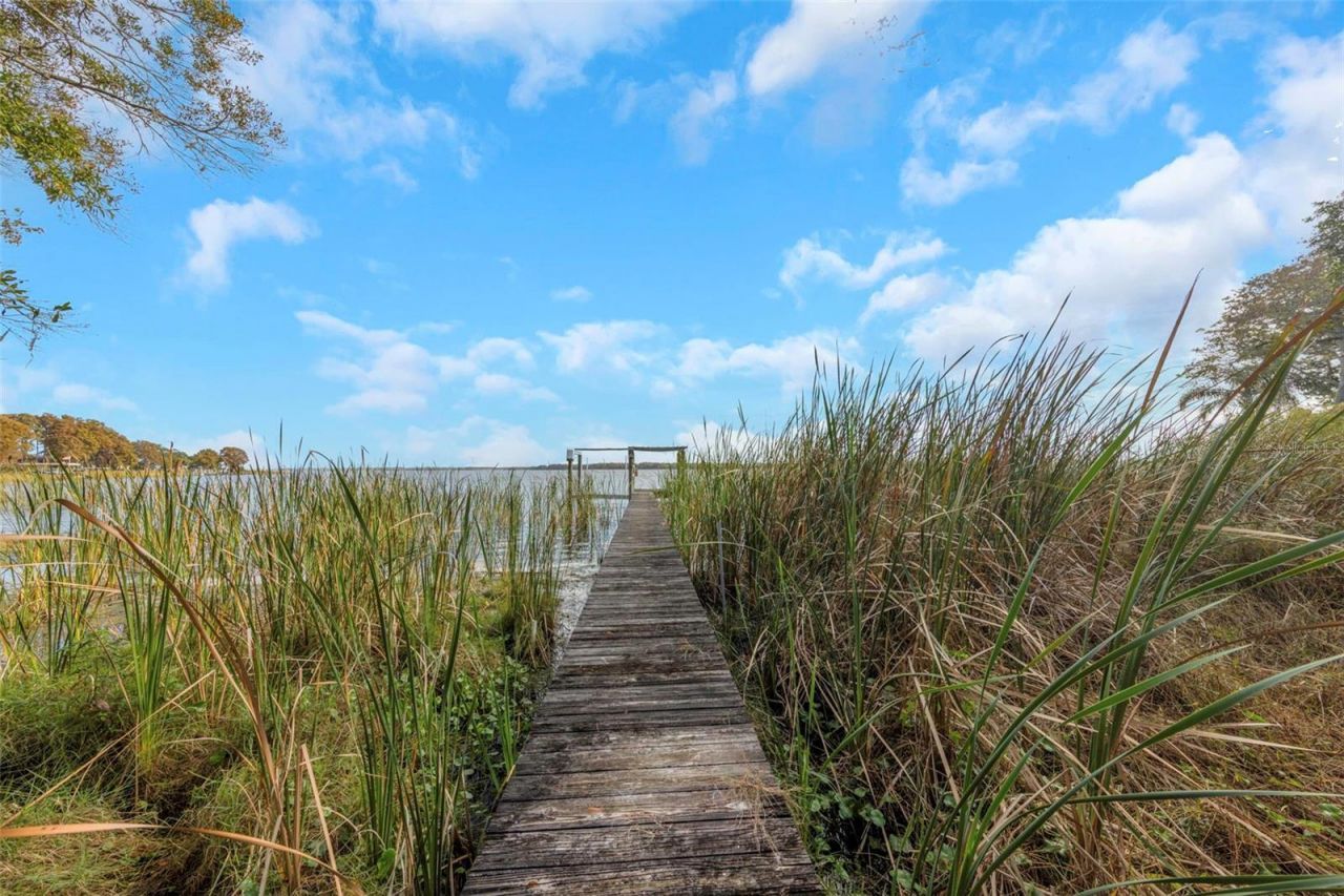 2661 Cyprus Drive, Palm Harbor, FL 34684 Photo